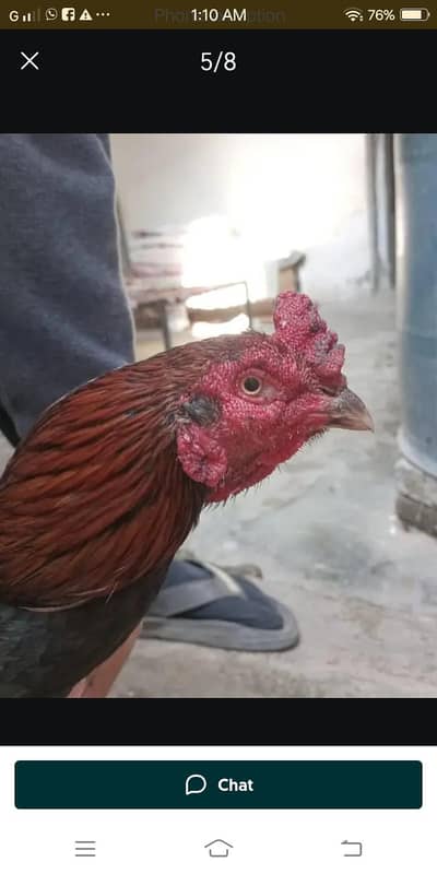 03118017504 what's numbr