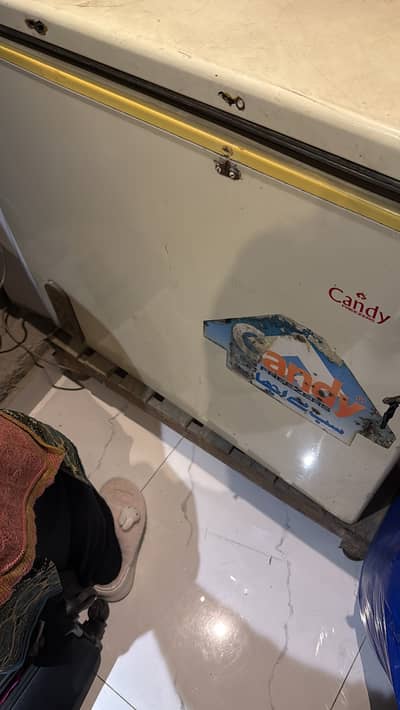 Freezers / D Freezers