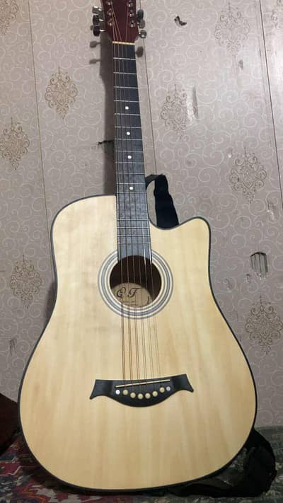 beginning+professinal guitar new