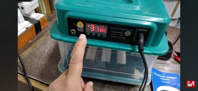 Branded Egg incubator Big size