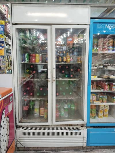 Caravell Double Door Freezer