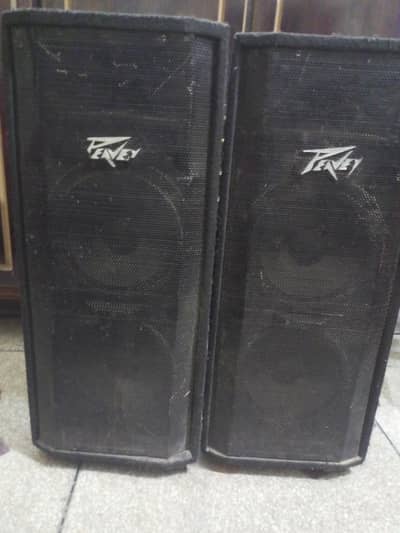 Two audionic speakers