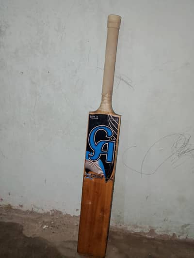CA zoom hard ball bat.