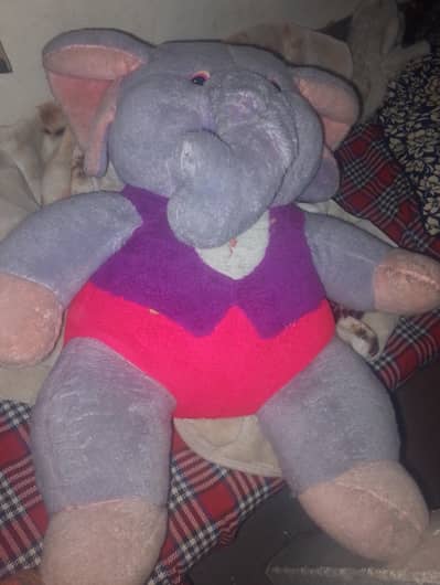 condition 10 hai price 800