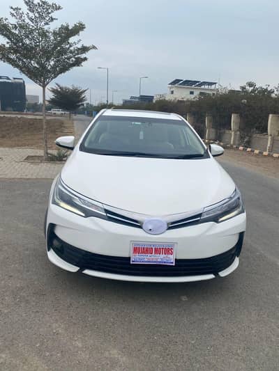 2018modal altis grandi