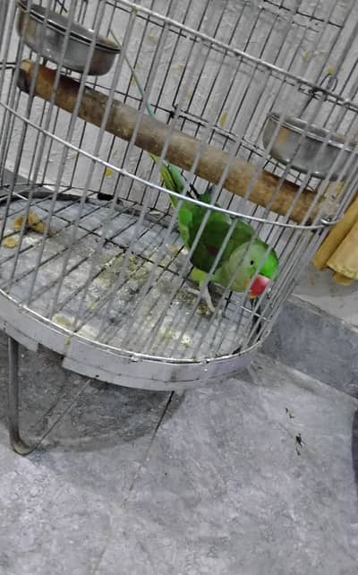 bolta ha hand ٹائم bhi ha