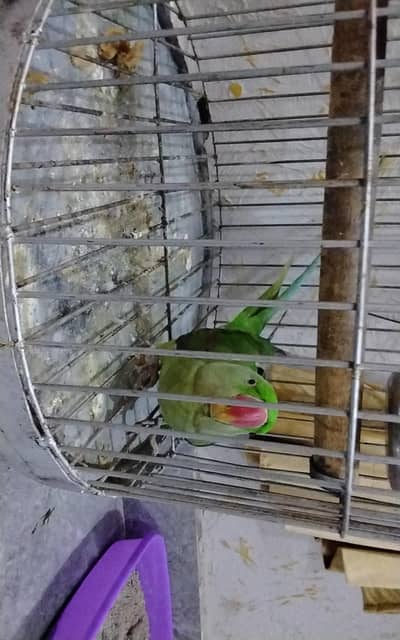 bolta ha hand ٹائم bhi ha