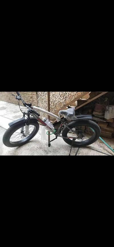 Fat tyre cycle