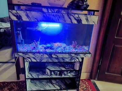 Fish Aquarium