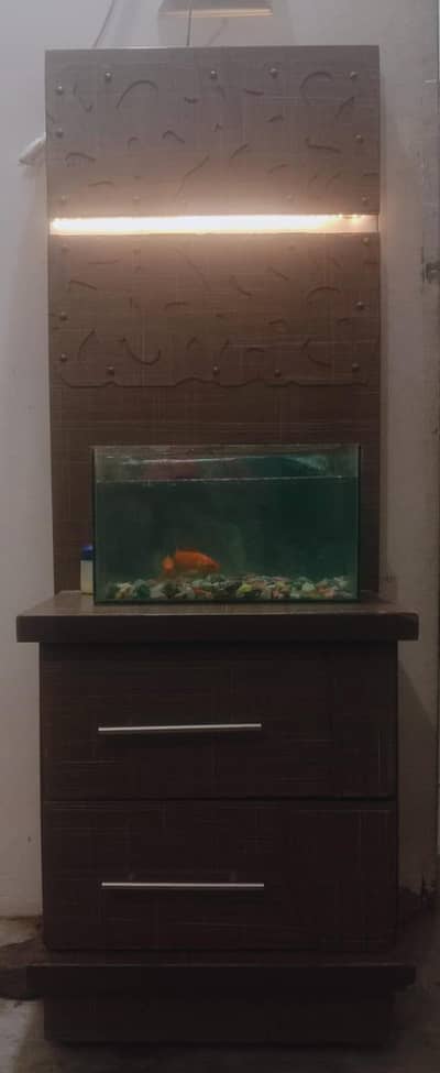 fish aquarium with fishes and table