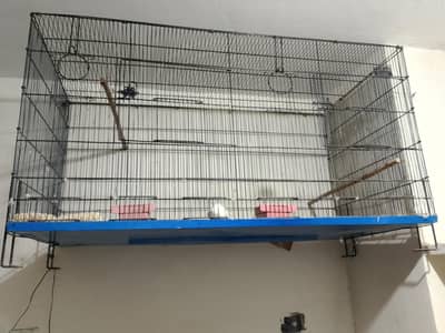 Cage for sale 4*2*2