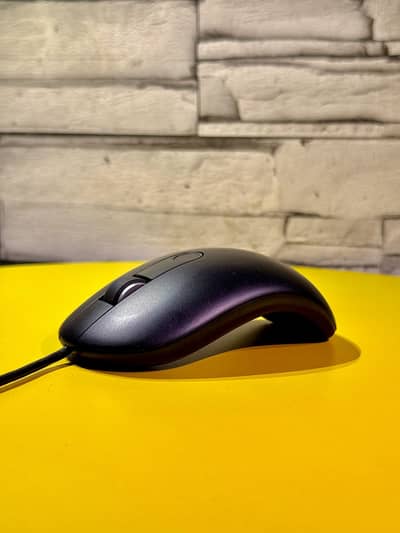 Dell Fingerprint Mouse