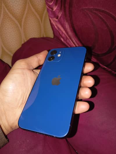 iPhone 12 Non Pta