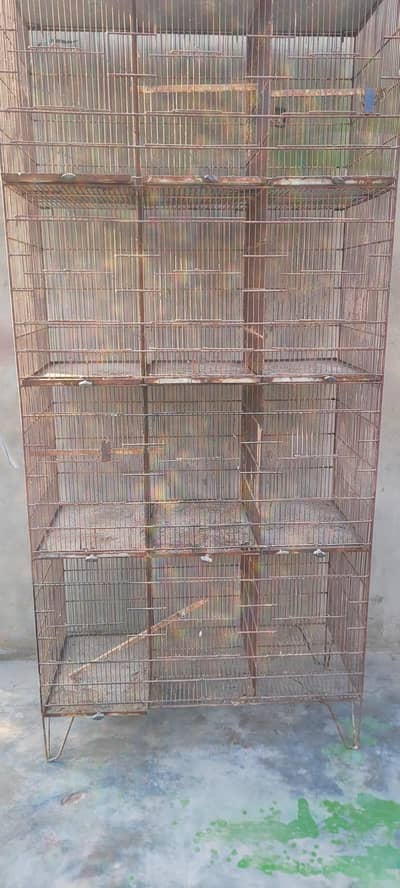 Birds cage