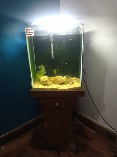 urgent aquirum with fish for sale