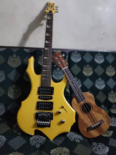 Guitar end violin instrument's