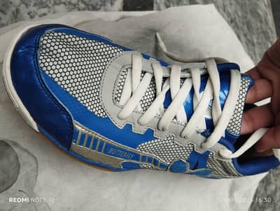 Badminton and table Tennis shoes