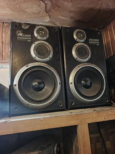 Original japani speakers 10 inch Dobule magnet