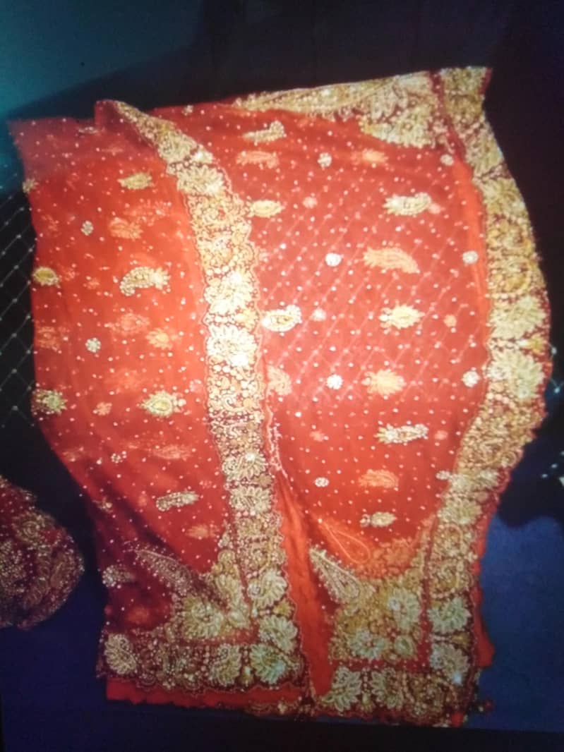 lehnga 3