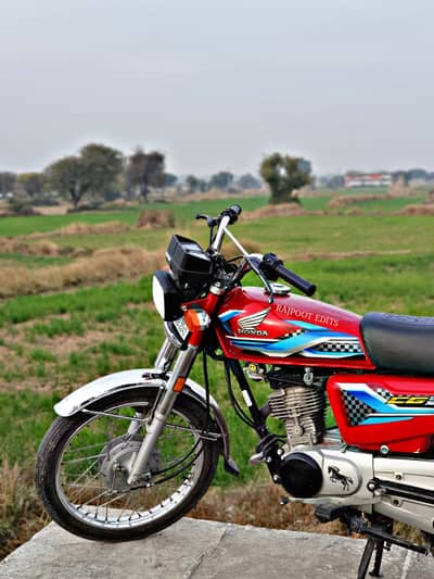 Hondat 23/24 (03165449118)