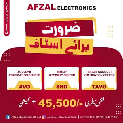 Account Verification Officer