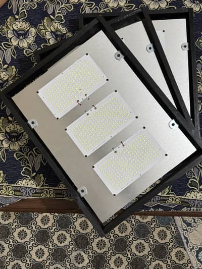 Led lights for bassant festival