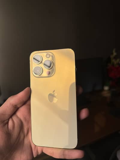 iPhone 13 Pro Golden