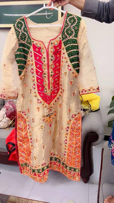 2 pcs luxury Embroidered Dress