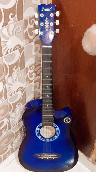 Dielisi Best Guitar For Beginners