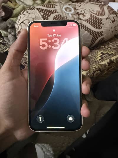 iPhone 12 PTA Approved 64 GB