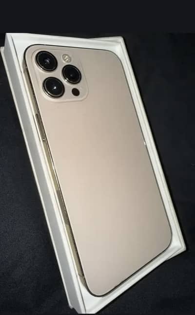 PTA approved 12 pro max