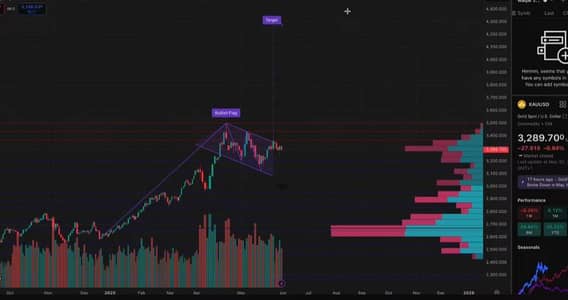 Need female manager for my online business