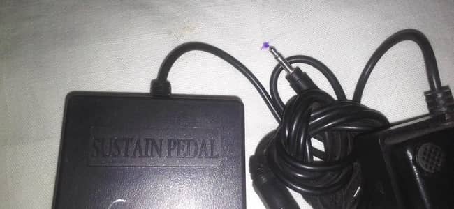Sustain pedal