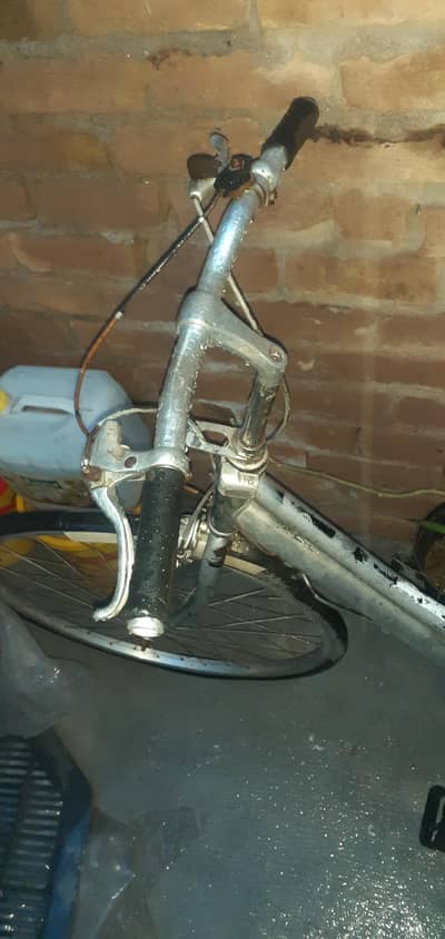 belt wala original japan