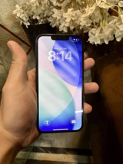 iPhone 13 | 128 Gb | Waterpack