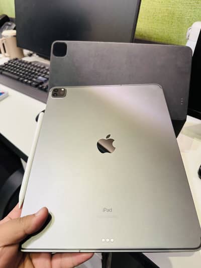 iPad Pro 4th Gen 256GB Cellular