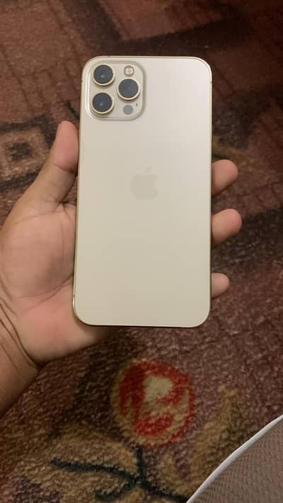iphone 12 pro max pta approved