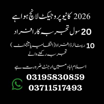 official office work