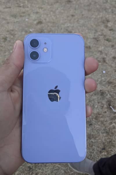 IPhone 12 with box and cable