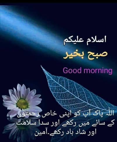 we need female  house maid