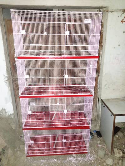 cage with fresh condition