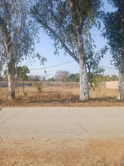 8 Kanal Plot For Sale