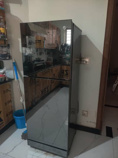 Beautiful New Refrigerator PEL