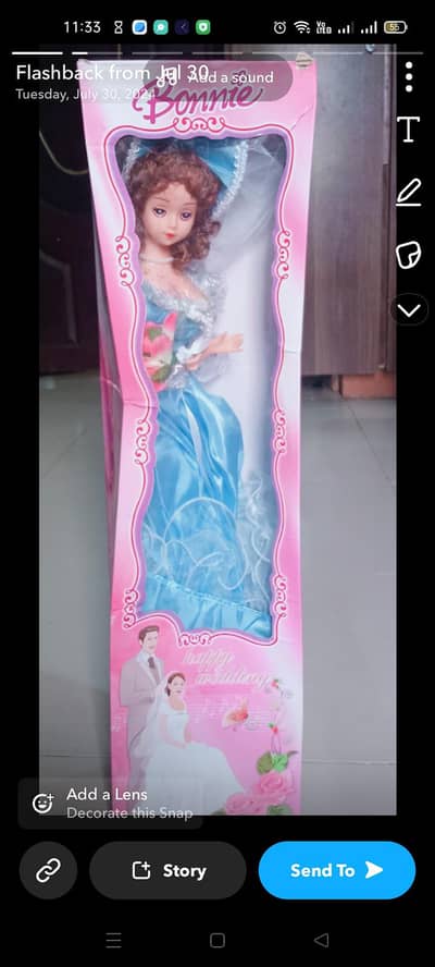 Dolls and  Stuff toy