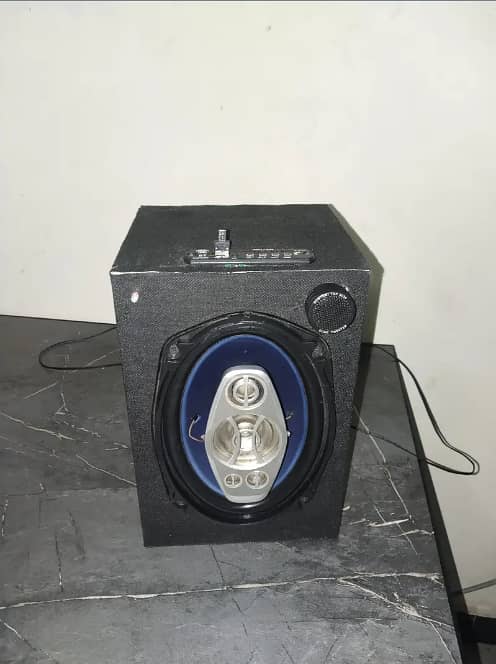 Sub woofer 1