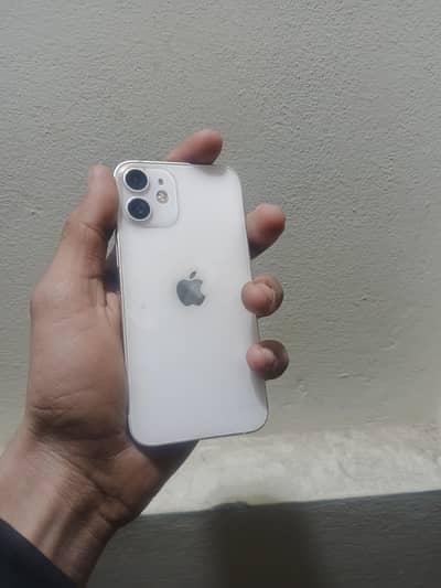 iPhone 12 mini jv 81 health