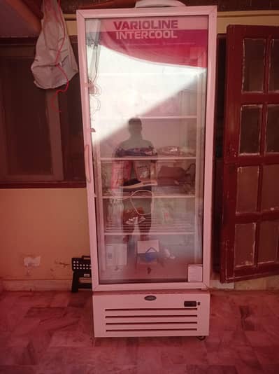 Standing Display Deep Freezer