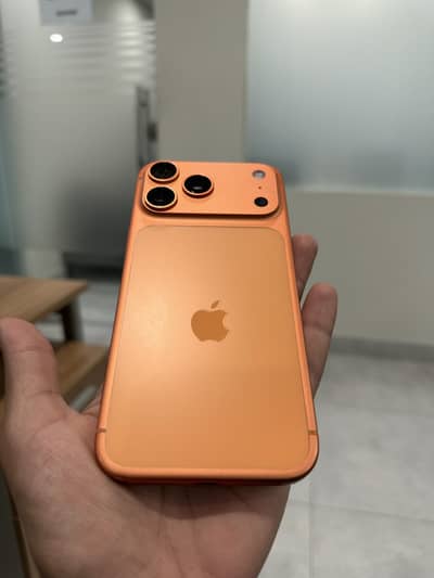 17 Pro max Physical Dual