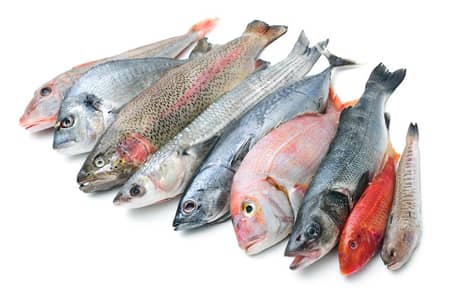  Taza Fresh fish/Machli Available – Home Delivery 