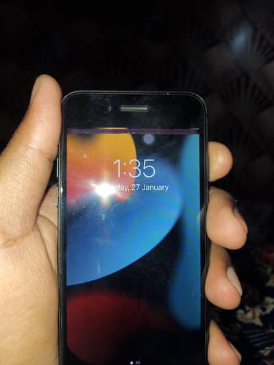 offical pta approved ha